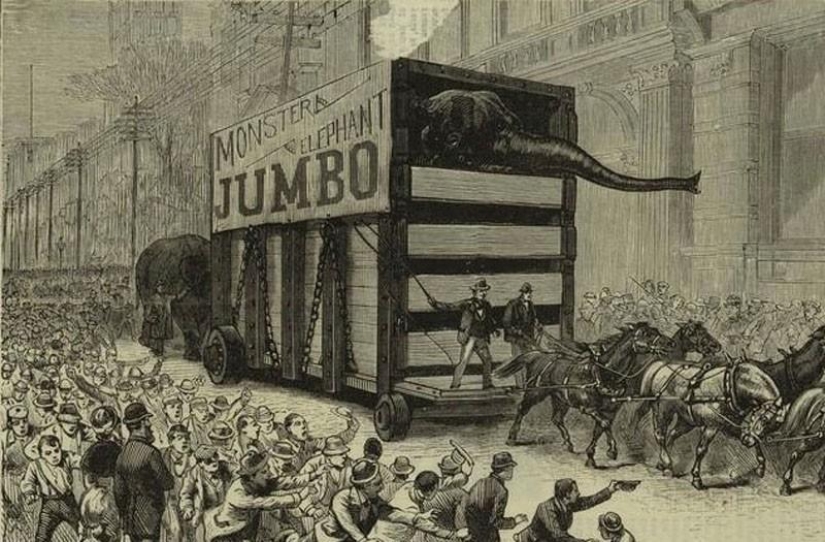 10 amazing stories from the" life " of the Brooklyn Bridge 10 amazing stories from the" life " of the Brooklyn Bridge