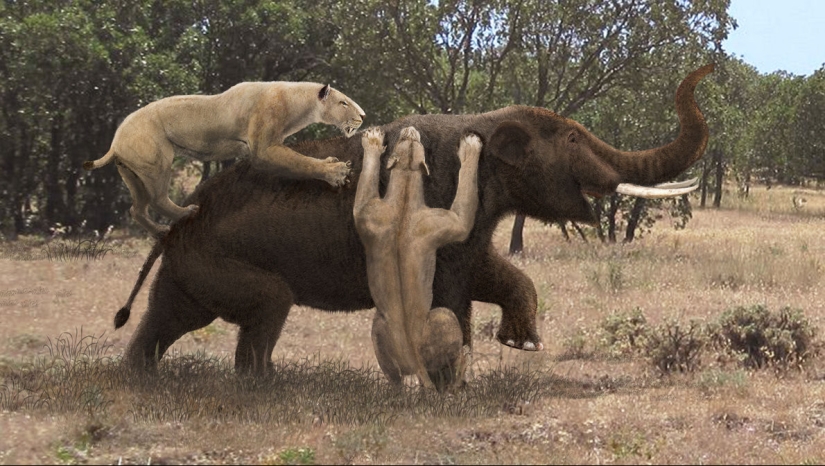 10 animales que se han extinguido, afortunadamente para los humanos 10 animales que se han extinguido, afortunadamente para los humanos