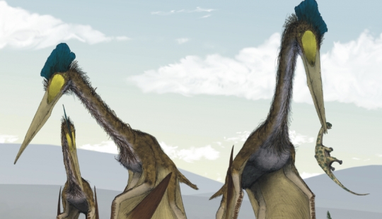 10 animales que se han extinguido, afortunadamente para los humanos 10 animales que se han extinguido, afortunadamente para los humanos