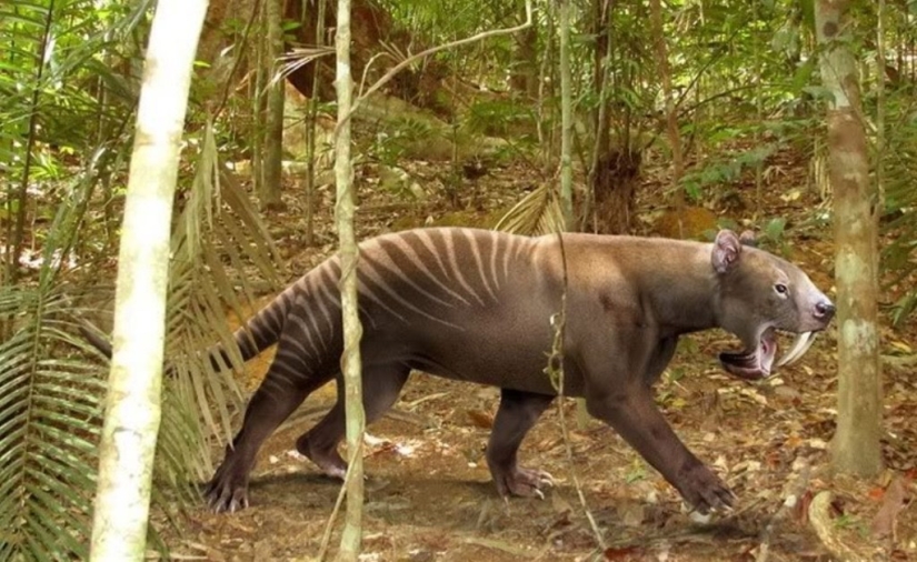 10 animales que se han extinguido, afortunadamente para los humanos 10 animales que se han extinguido, afortunadamente para los humanos