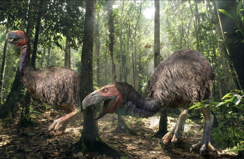 10 animales que se han extinguido, afortunadamente para los humanos 10 animales que se han extinguido, afortunadamente para los humanos