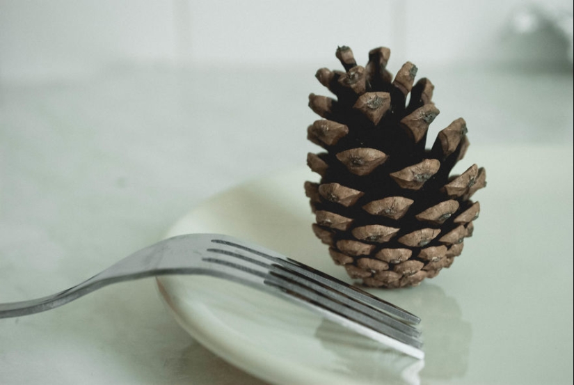 10 consejos sencillos sobre cómo tomar una foto divertida de un bulto común y corriente