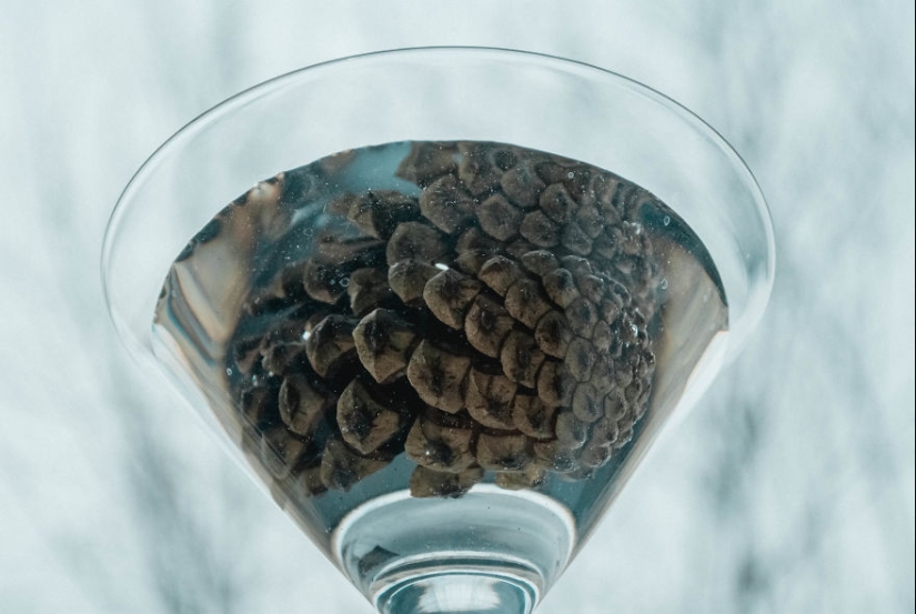 10 consejos sencillos sobre cómo tomar una foto divertida de un bulto común y corriente