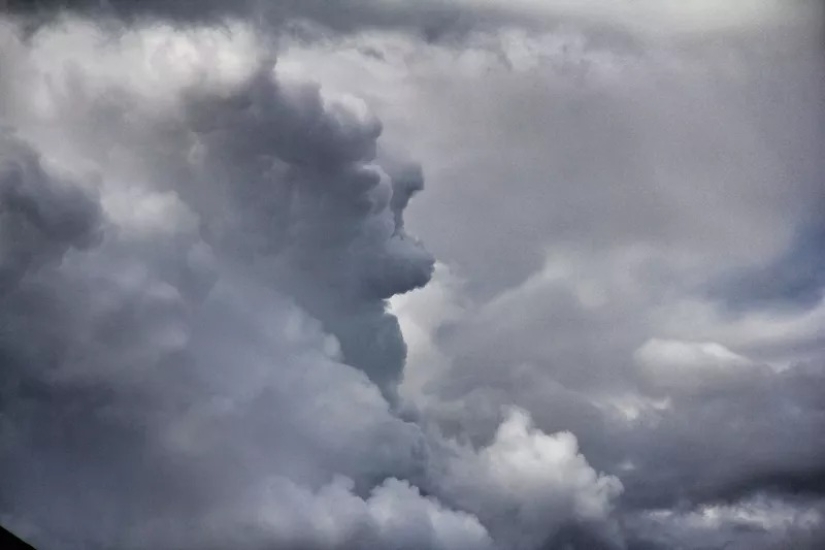 10 daily oddities of our brain