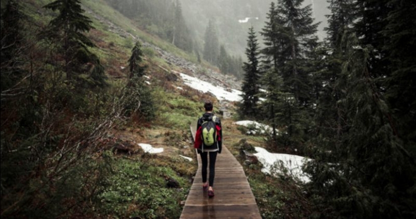 10 deadly dangers lurking in our forests