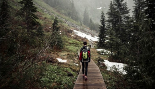 10 deadly dangers lurking in our forests