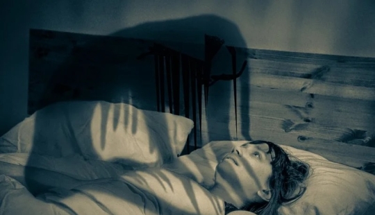 10 diario de rarezas de nuestro cerebro 10 diario de rarezas de nuestro cerebro