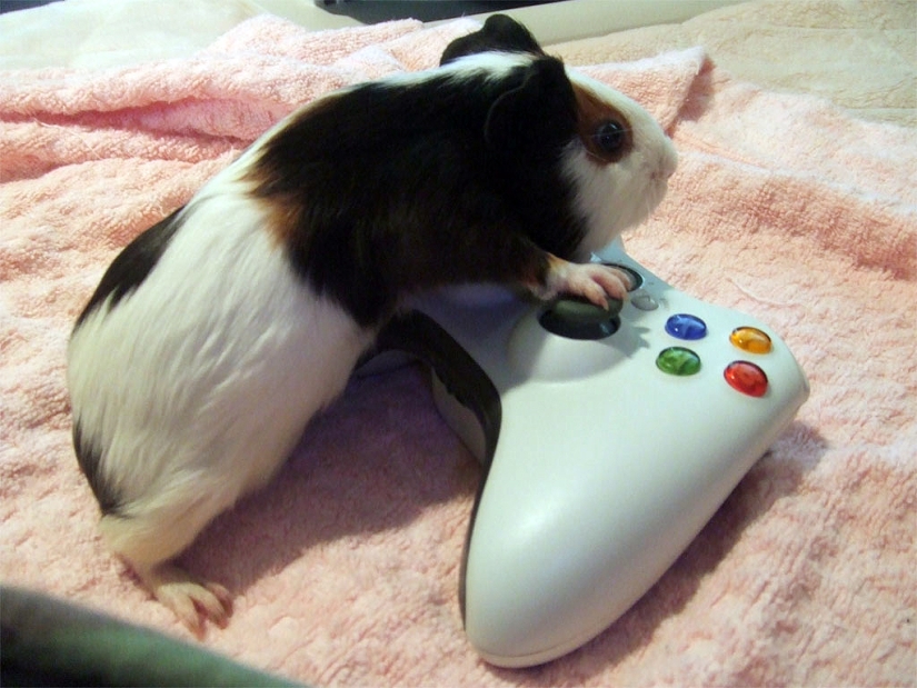 10 dopajes increíbles