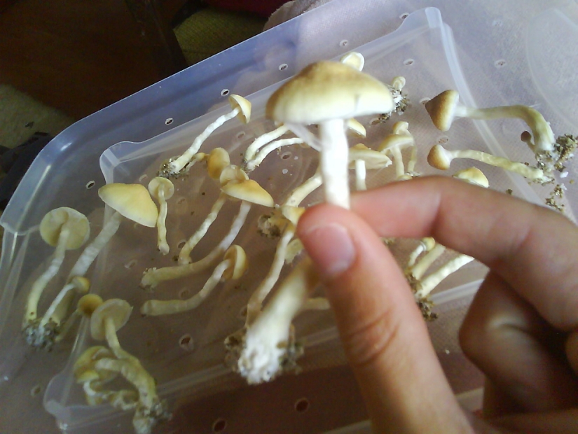 10 dopajes increíbles