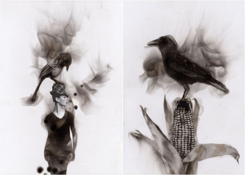 10 el más impactante de las maneras en que los artistas crean sus obras 10 el más impactante de las maneras en que los artistas crean sus obras