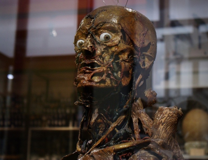 10 el más impactante de las maneras en que los artistas crean sus obras 10 el más impactante de las maneras en que los artistas crean sus obras