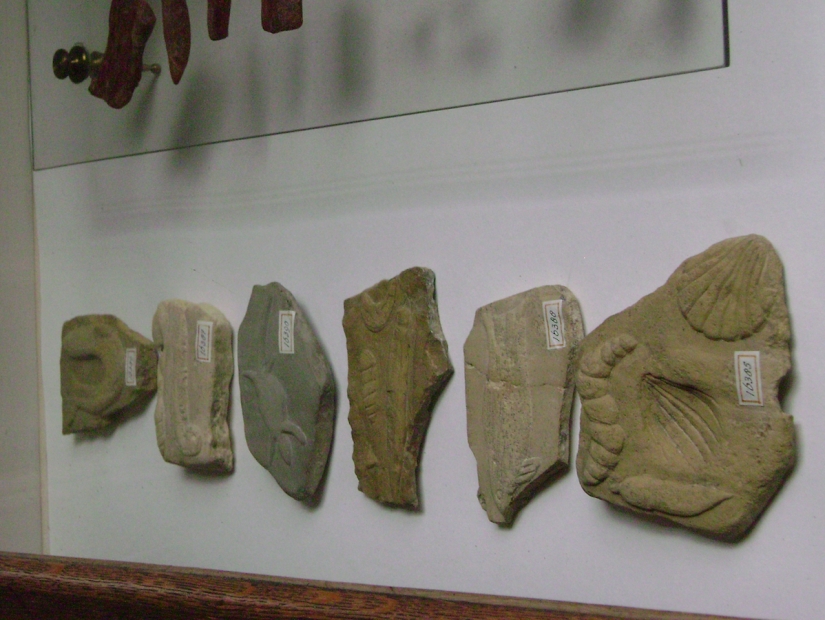 10 engaños científicos que conmocionaron al mundo