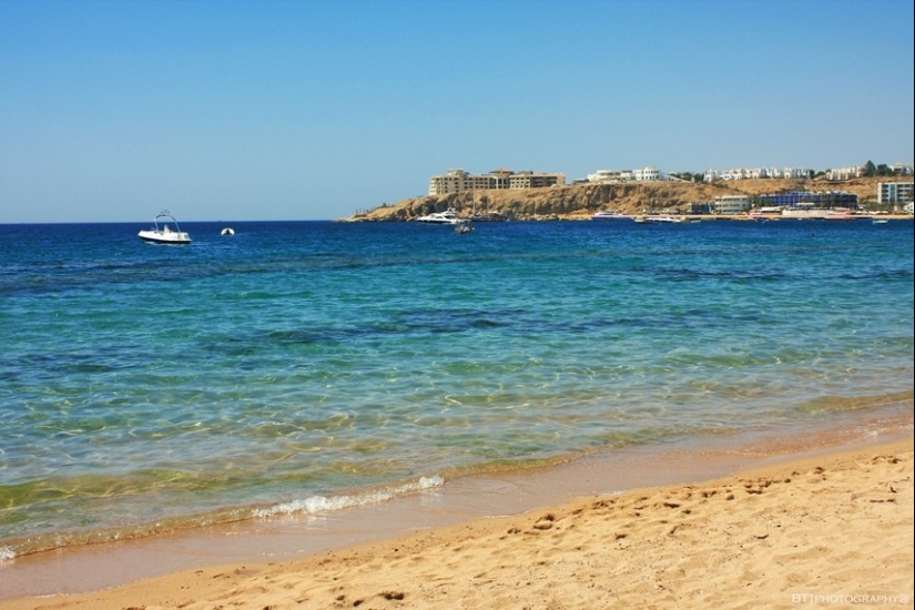 10 facts about the Red Sea 10 facts about the Red Sea