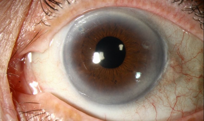 10 facts, knowledge of which may one day save your life