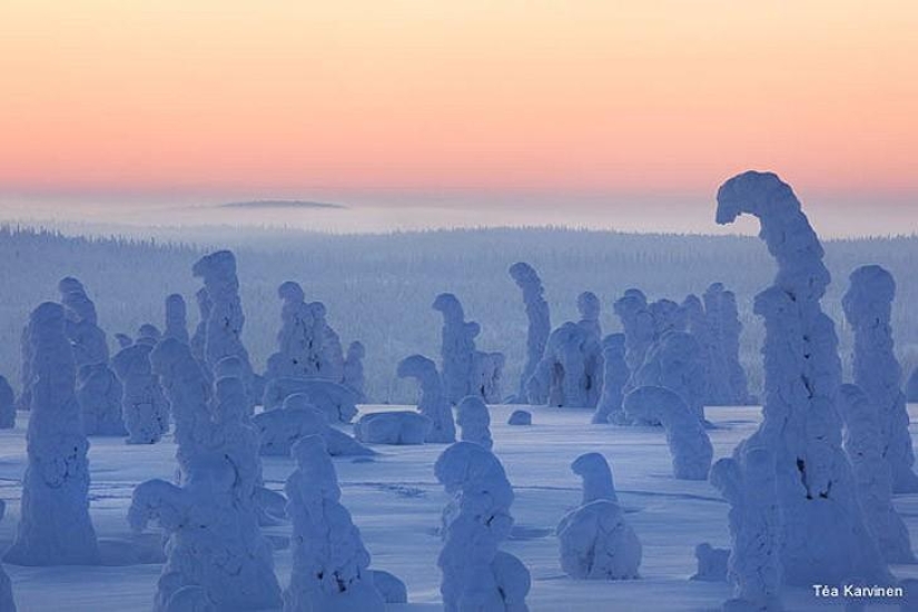 10 fascinating photos from Finland 10 fascinating photos from Finland