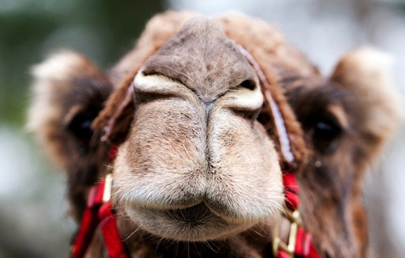 10 fenómenos inusuales, que, resulta, que hay términos