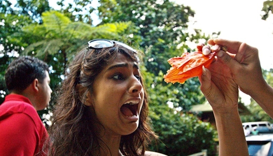 10 fobias causadas por la naturaleza