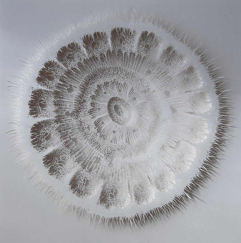 10 geniuses who cut amazing masterpieces out of paper 10 geniuses who cut amazing masterpieces out of paper