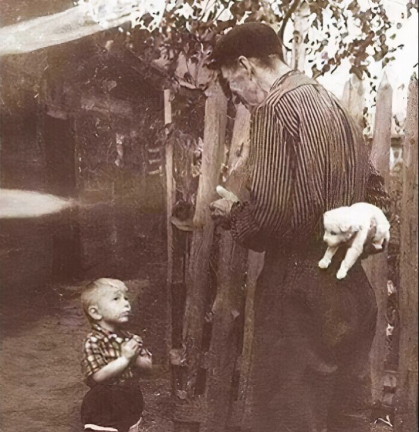 10 imágenes que probablemente te contagien la felicidad