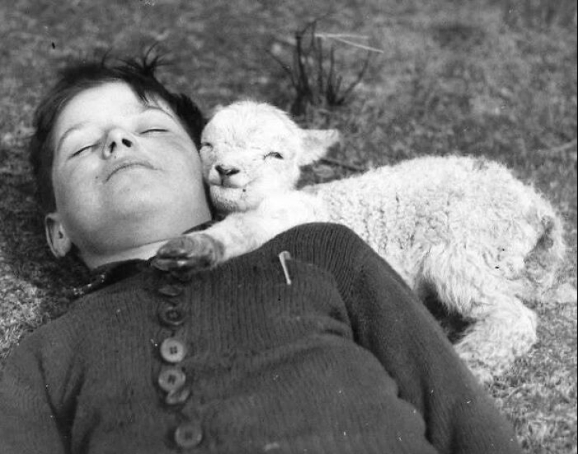 10 imágenes que probablemente te contagien la felicidad