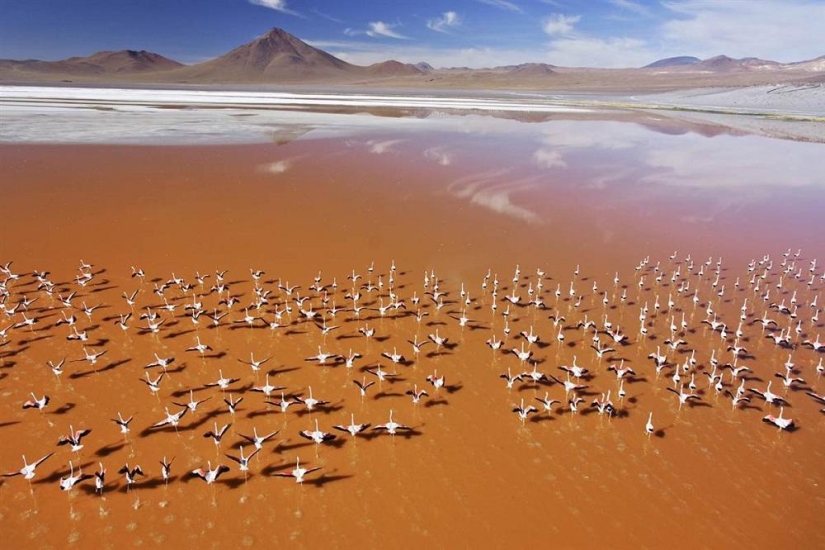 10 impresionantes vistas del desierto desde el aire 10 impresionantes vistas del desierto desde el aire