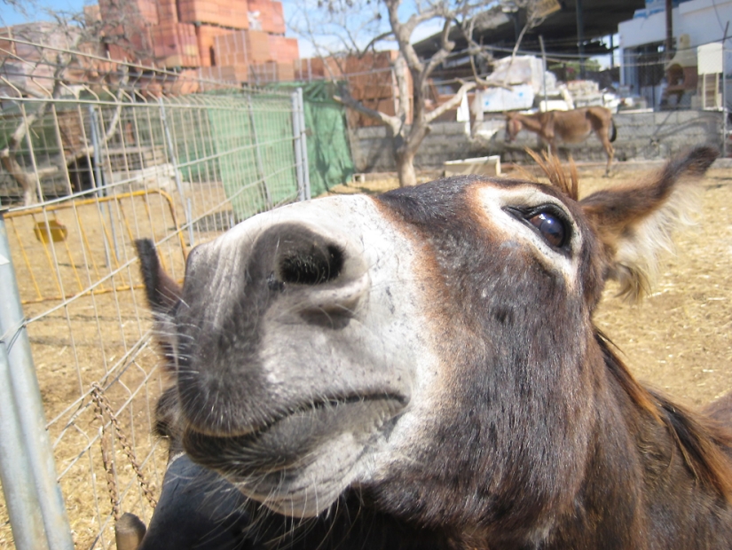 10 incredible dopings