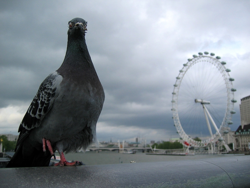 10 incredible dopings