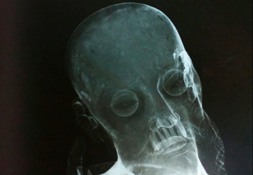 10 interesantes hallazgos realizados dentro de las estatuas 10 interesantes hallazgos realizados dentro de las estatuas