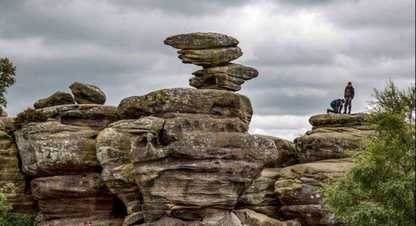 10 invaluable things that have been destroyed because of human stupidity