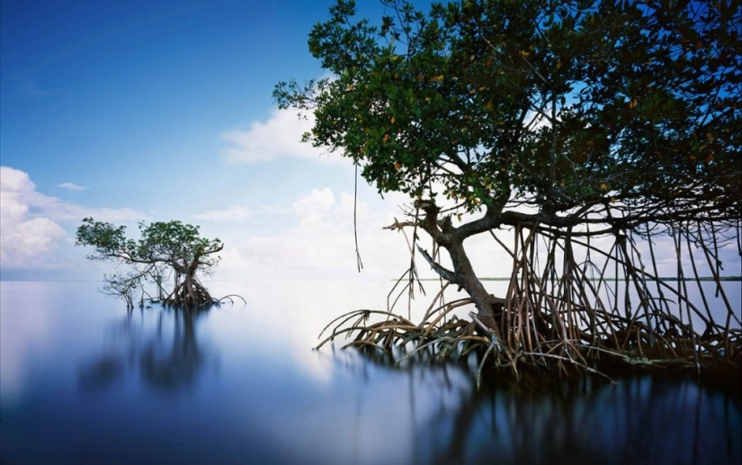 10 lugares para visitar antes de que desaparezcan 10 lugares para visitar antes de que desaparezcan