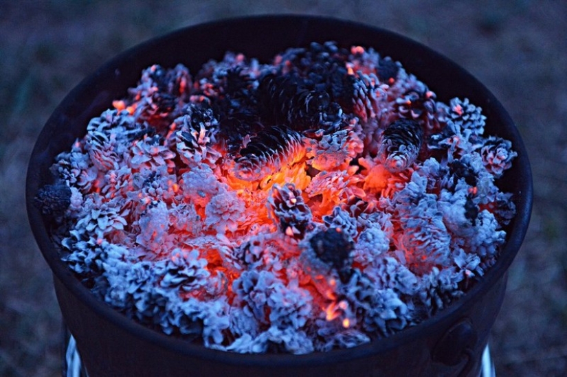 10 maneras de combatir los mosquitos y sus picaduras