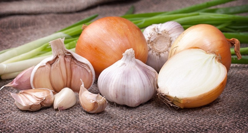 10 maneras de combatir los mosquitos y sus picaduras