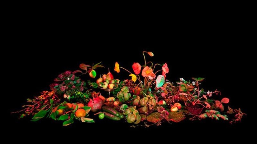 10 most useful magic collections from Salem 10 most useful magic collections from Salem