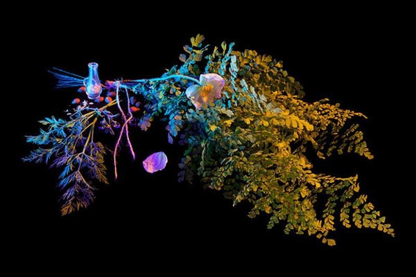 10 most useful magic collections from Salem 10 most useful magic collections from Salem