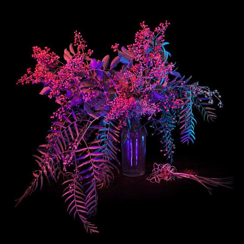 10 most useful magic collections from Salem 10 most useful magic collections from Salem