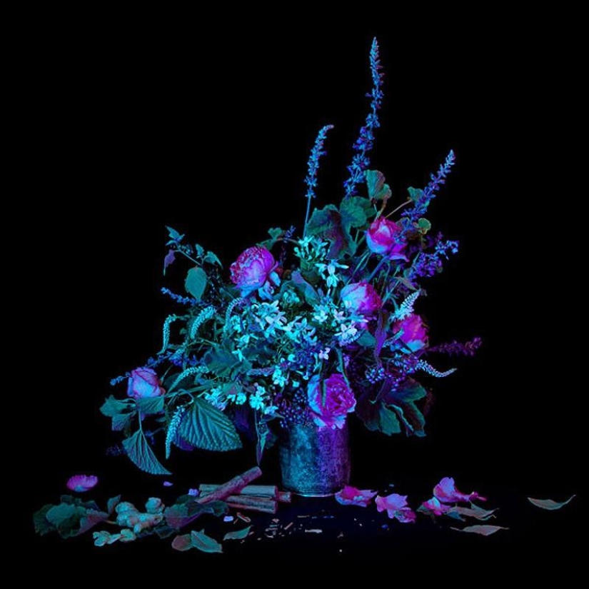 10 most useful magic collections from Salem 10 most useful magic collections from Salem