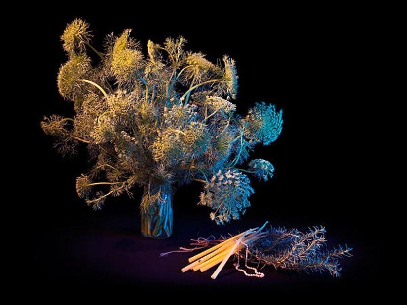 10 most useful magic collections from Salem 10 most useful magic collections from Salem