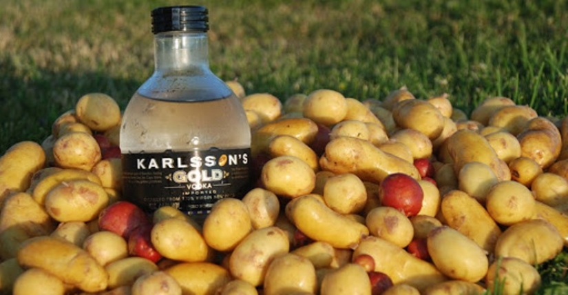 10 myths about vodka, in which we unconditionally believe 10 myths about vodka, in which we unconditionally believe