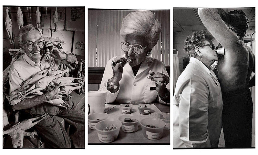 10 of the strangest professions, the existence of which you hardly guessed 10 of the strangest professions, the existence of which you hardly guessed