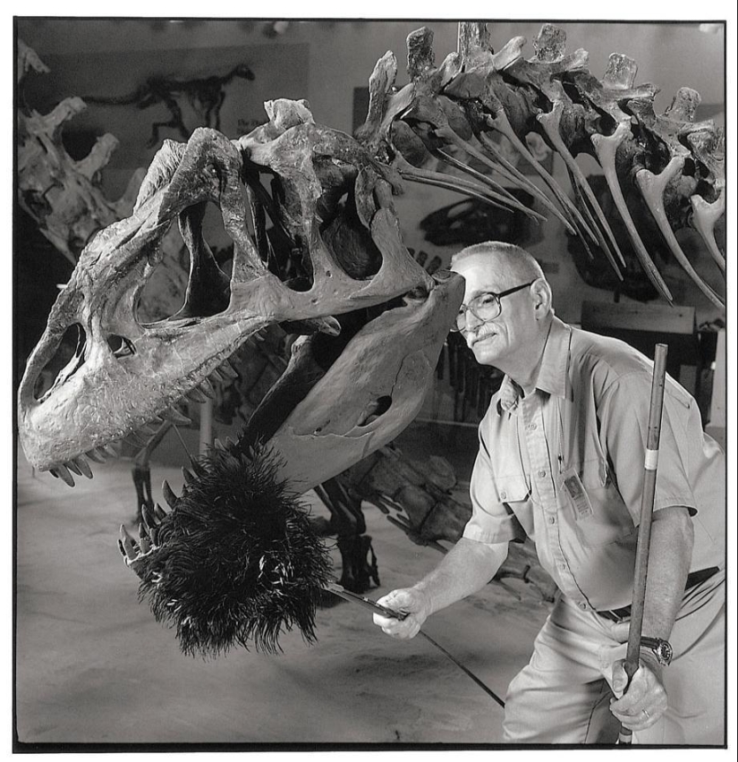 10 of the strangest professions, the existence of which you hardly guessed 10 of the strangest professions, the existence of which you hardly guessed