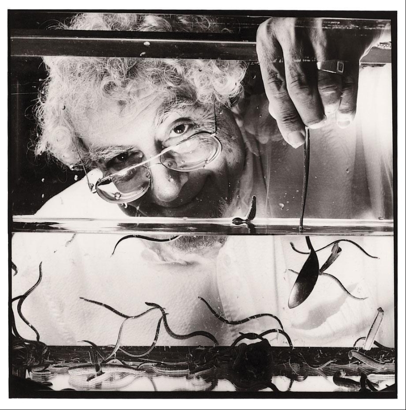 10 of the strangest professions, the existence of which you hardly guessed 10 of the strangest professions, the existence of which you hardly guessed