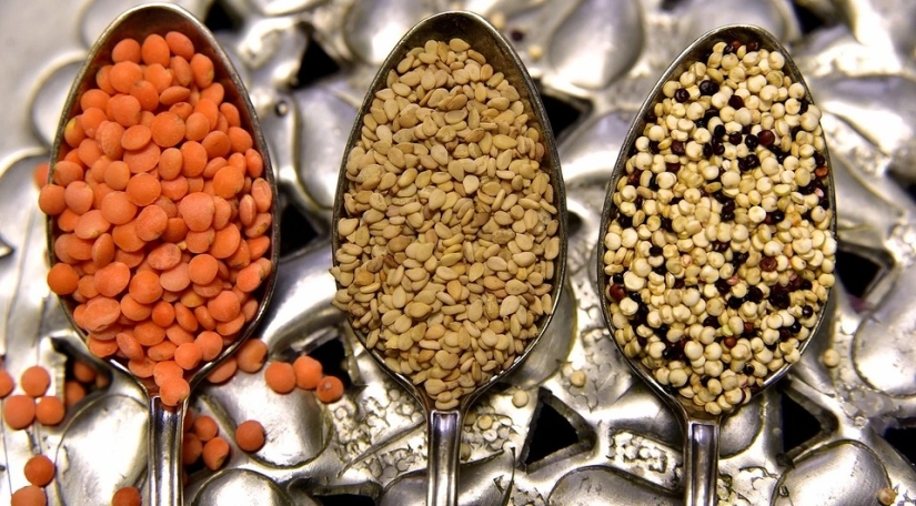 10 principales fuentes vegetales de proteínas: no contienen menos proteínas que la carne