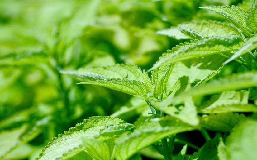 10 questions — 10 answers 10 questions — 10 answers