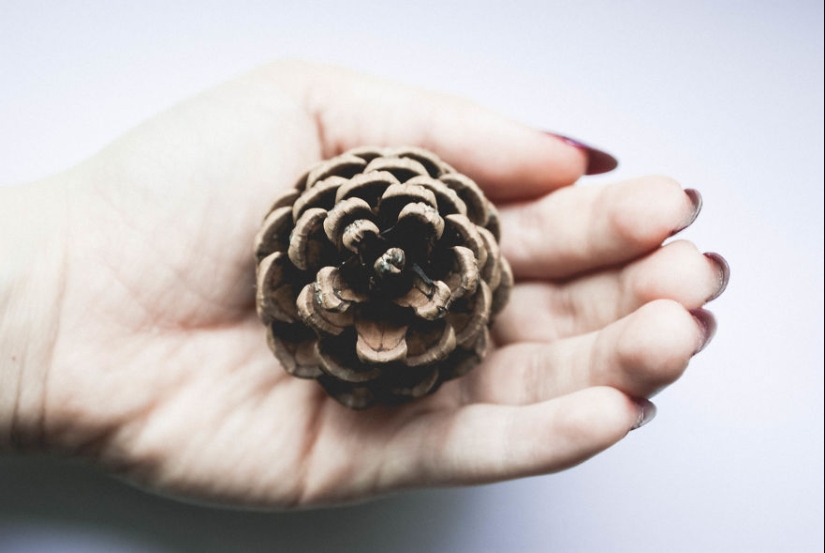 10 simple tips on how to take a fun photo of an ordinary bump