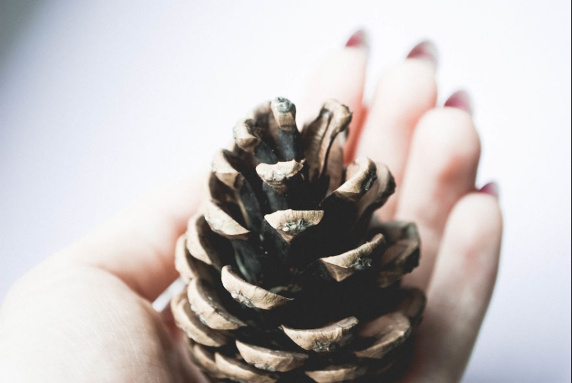 10 simple tips on how to take a fun photo of an ordinary bump