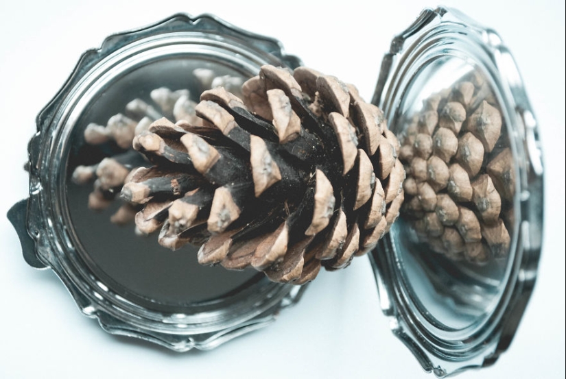 10 simple tips on how to take a fun photo of an ordinary bump