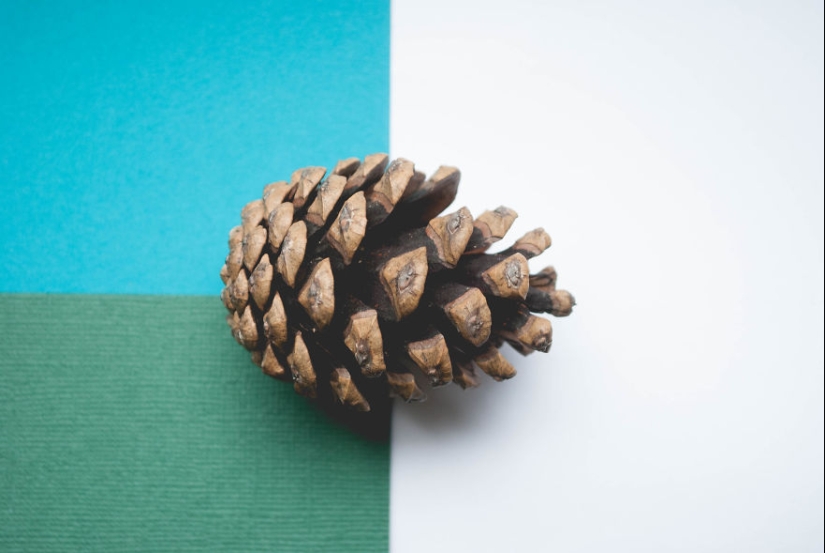 10 simple tips on how to take a fun photo of an ordinary bump