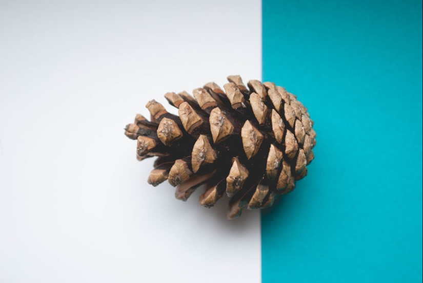 10 simple tips on how to take a fun photo of an ordinary bump