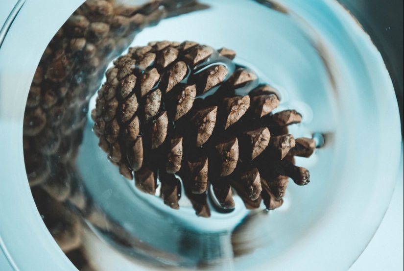 10 simple tips on how to take a fun photo of an ordinary bump