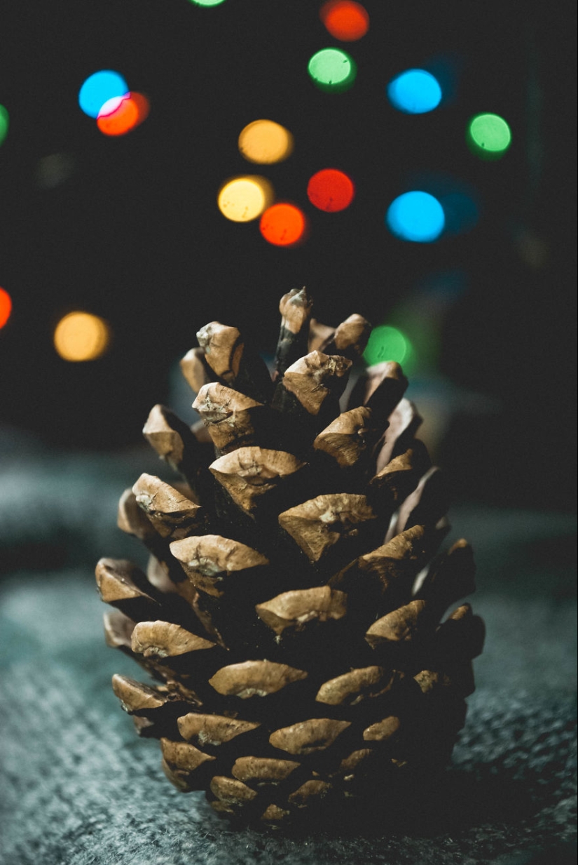 10 simple tips on how to take a fun photo of an ordinary bump